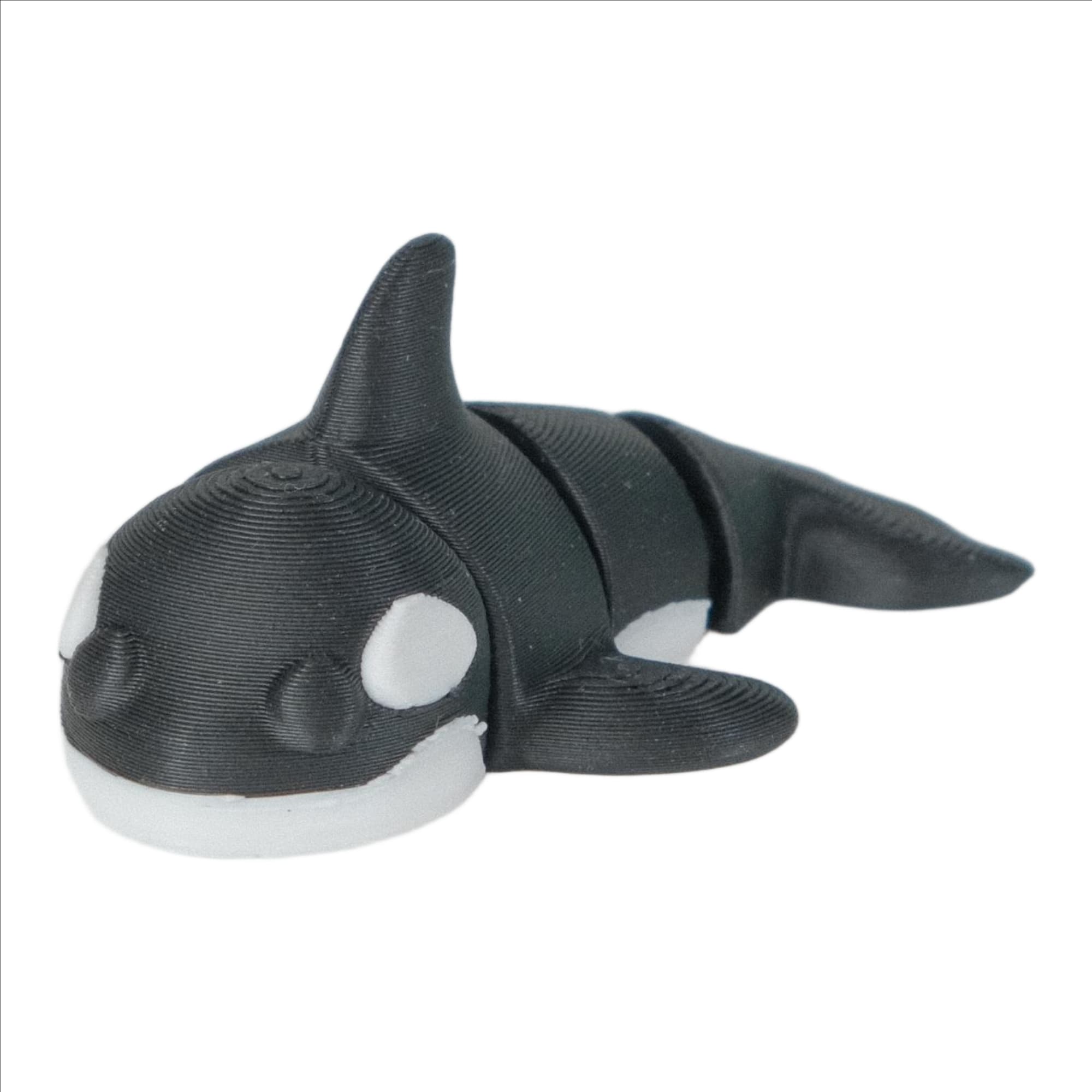 Orca - image 1