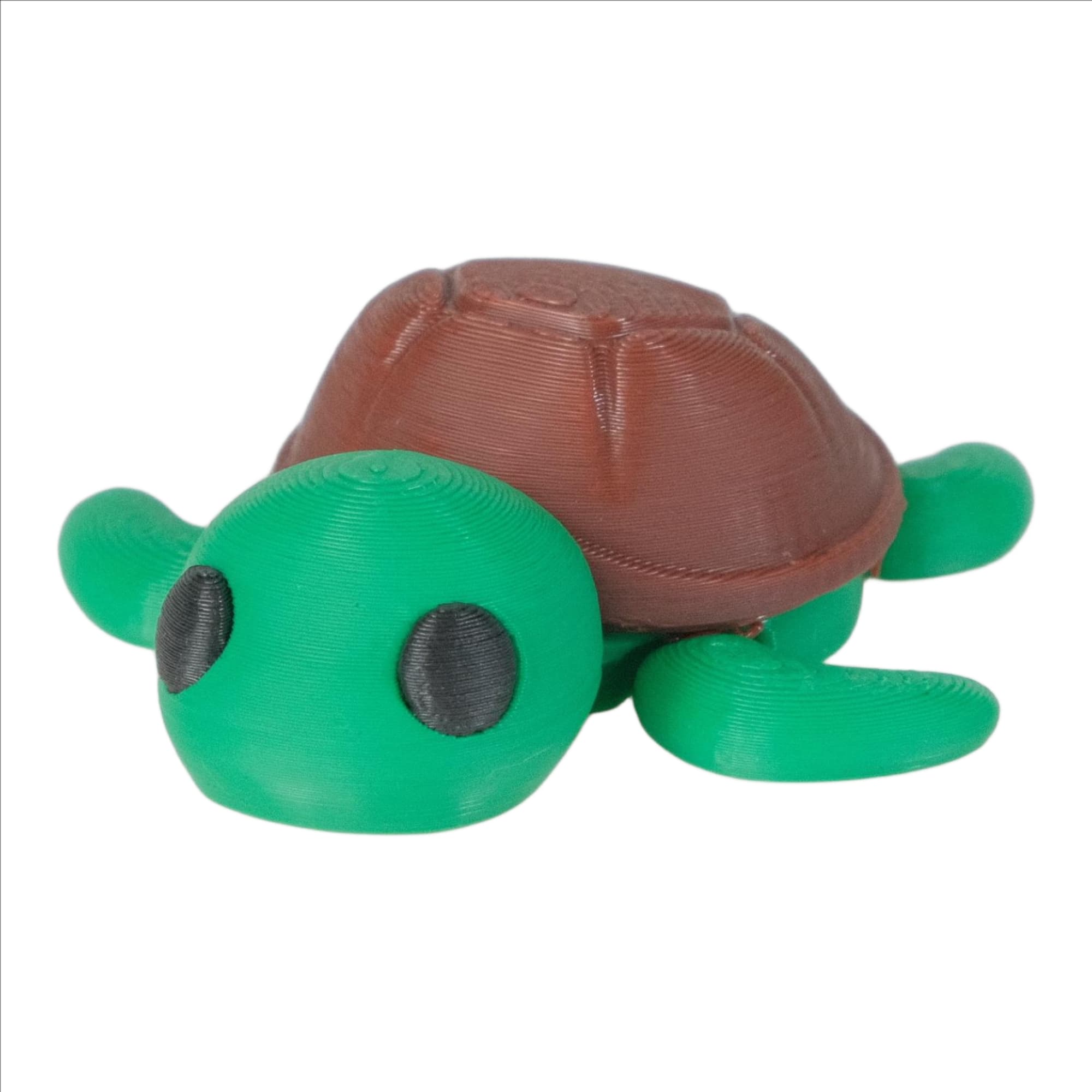Turtle V2 - image 1