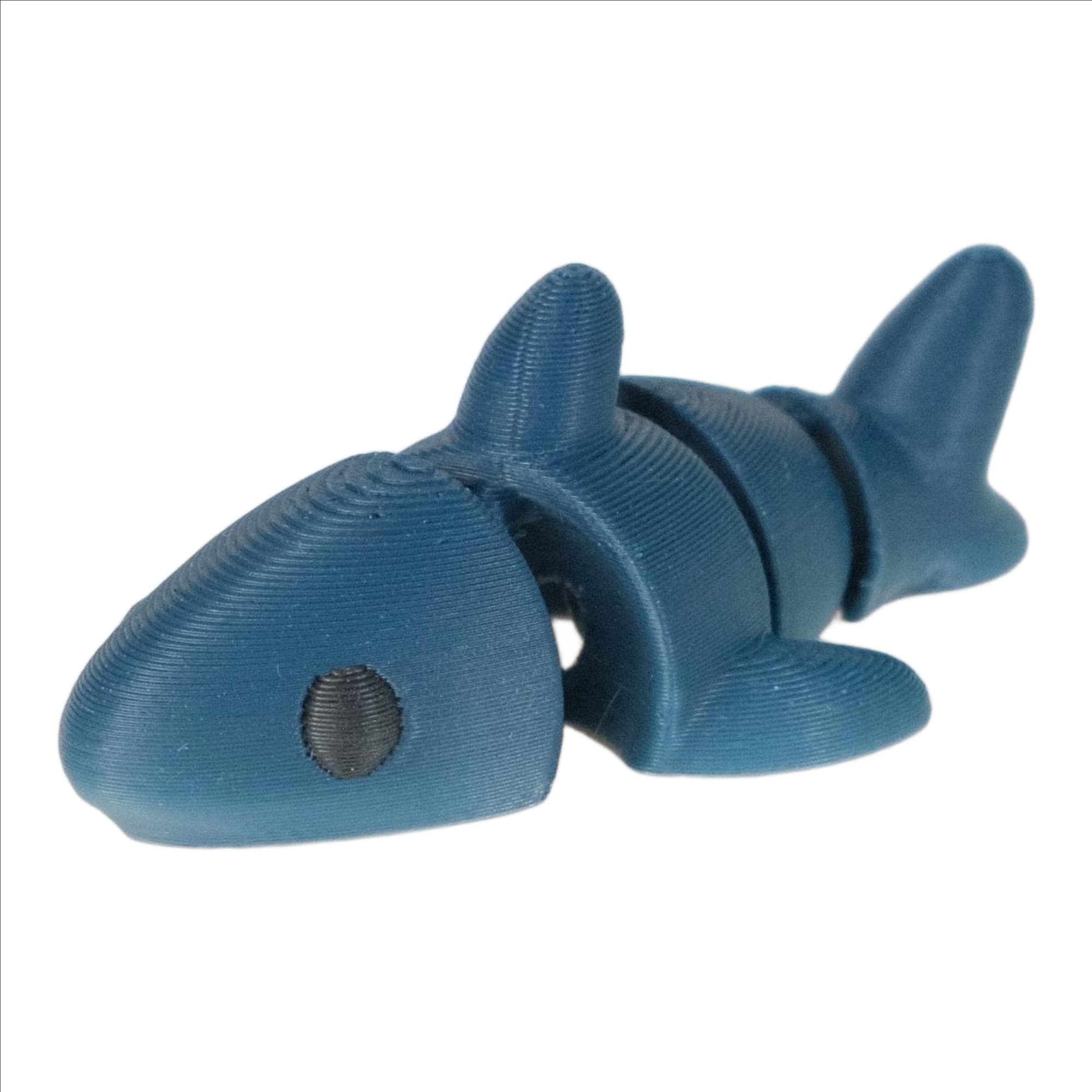 Shark - image 1