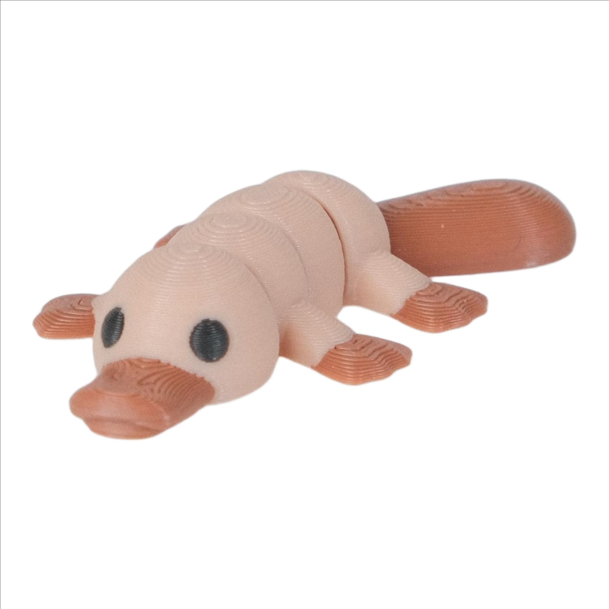 Platypus - image 1